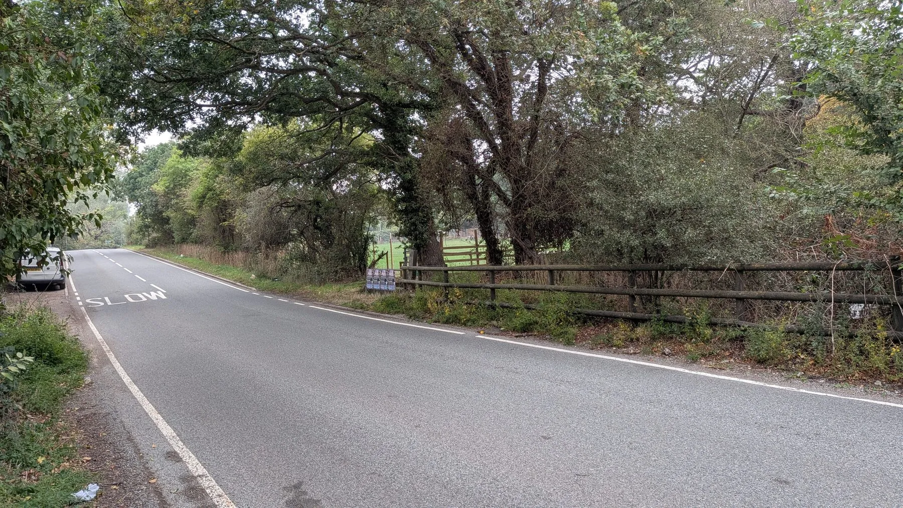 Dunton Road, Basildon, running alongside the development site